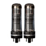 Mesa Boogie EL-34 STR 447 Duet - Power Tubes tubes photographed at Interstellar Guitars in San Antonio, TX