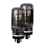 Mesa Boogie 6L6 GC STR 441 Duet - Power Tubes tubes photographed at Interstellar Guitars in San Antonio, TX